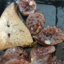 북문로떡볶이 이미지