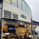 마일로광안리오션 | 부산 광안리 애견동반카페 마일로에서 멍푸치노 한잔