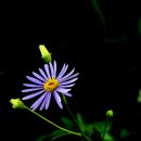 행운열쇠 이미지