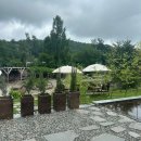 어디까페 이미지