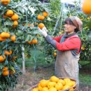 은파농장 이미지