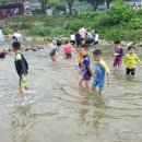 도담 태권도 이미지