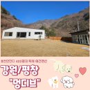 [강원/평창] 천연잔디 400평 독채 애견펜션 &#34;멍디브&#34; 시설/가격/솔직후기