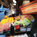 춘천유도스쿨 | 설 명절 바가지요금 꼼짝마! 정부 24시간 현장 단속 시작, 내 지갑 지키는 법은?