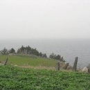 우산국