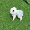 루이야 놀고 자고 GO 이미지