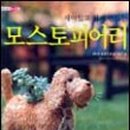가족테라피 이미지