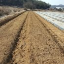 귀동농장 이미지