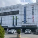 청아동물병원 | [인천 연수구 청아동물병원] 강아지 동물병원 추천/솔직후기/양심병원/과잉진료 없는 병원