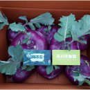 일품농장 이미지