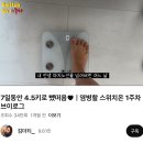 크로스핏 진주 | 진주크로스핏가온과 함께하는 다이어트 2주차 ,, (스위치온 1주차 케이크 먹고싶은데 어떡하죠)