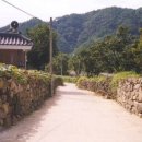 돌담 이미지