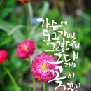 어느날오월 이미지