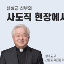 「찬미받으소서」가 길을 비추다 이미지