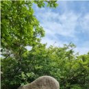 남해-197 이미지