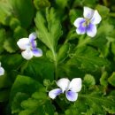 종지농장 이미지