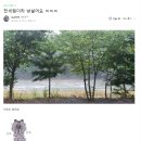 청풍명월 | 강원도 영월 청풍명월펜션에서 절 고소한다고 협박하네요.