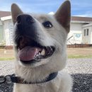 무릉쉼표 이미지