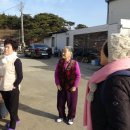 꼴배별장펜션 Daum카페