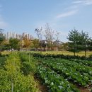 비전2동행정복지센터 이미지