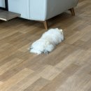 서탄반점
