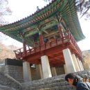 괴테부동산공인중개사사무소 이미지