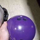 퍼플라이노 이미지