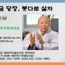 일요농장 이미지