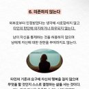 갈채호프 이미지
