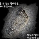 암에 걸렸다고 다 나쁜 것만은 아니란다. /유정옥 사모 이미지