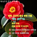 좋은 메디컬빌딩 이미지