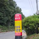 잡수새우 이미지