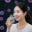 시라솔루션 이미지