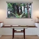 망고 스테이 이미지