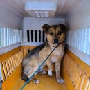 삼봉산로 이미지