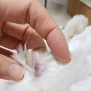 김성록동물병원 이미지