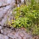 비그로브 그로브 이미지