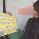 22구녕