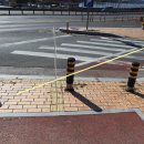 진해대로 이미지