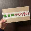 [일상] 최고심X엘지트윈스 짧후기 (블루밍테일 배송 기다리며)