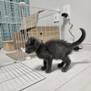 율하 다나동물병원 이미지