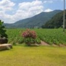 달창농장 이미지