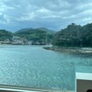 찐진김밥 이미지