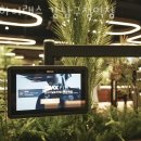 하이랙스 이미지