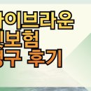 브라운동물병원 | 마이브라운 펫보험 청구 후기 강아지 고양이 보장범위 알아보기