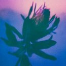 킹콩돈까스 이미지