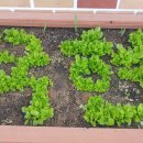 국현 유치원 이미지