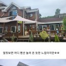 오송정통안마원 네이버블로그