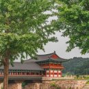 청노루 - 제주시 | 청노루