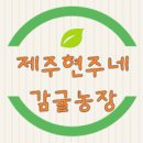 현주네과일 - 중랑구 중랑역로 43 | 현주네과일